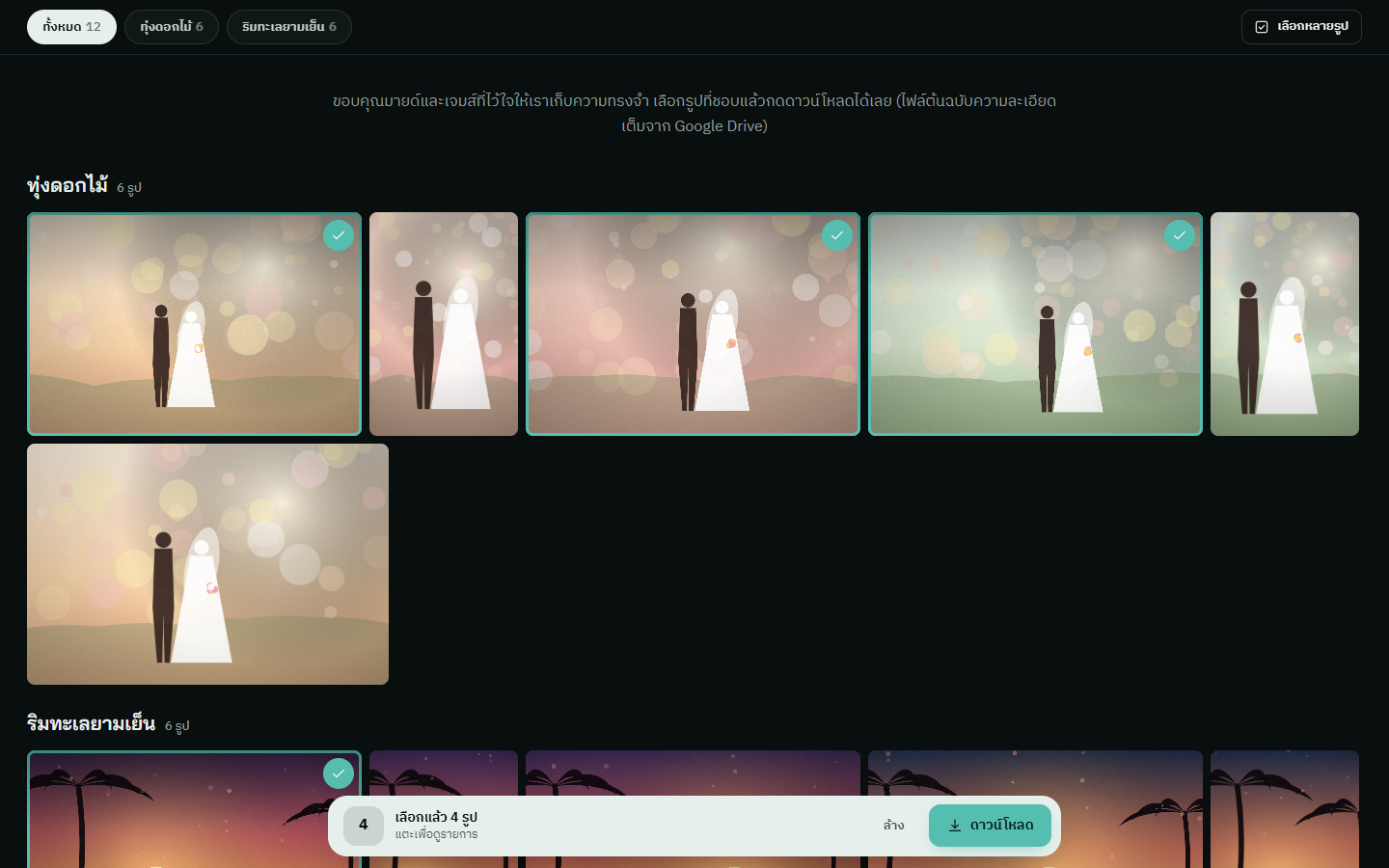 เลือกหลายรูป